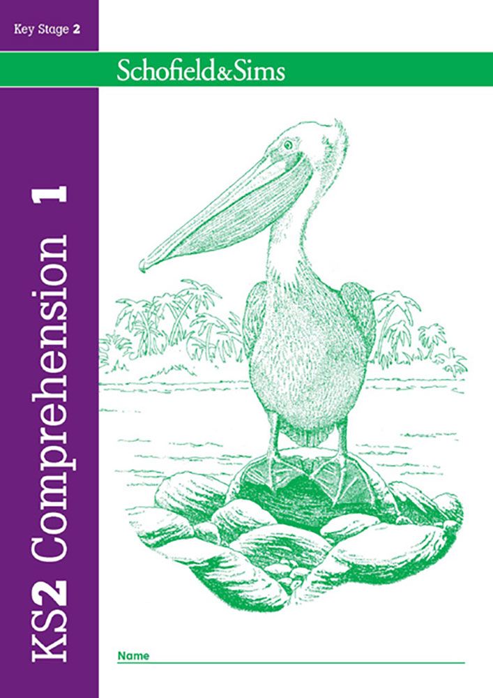 KS2 Reading Comprehension Book 1 (Ages 7-11) Main Image
