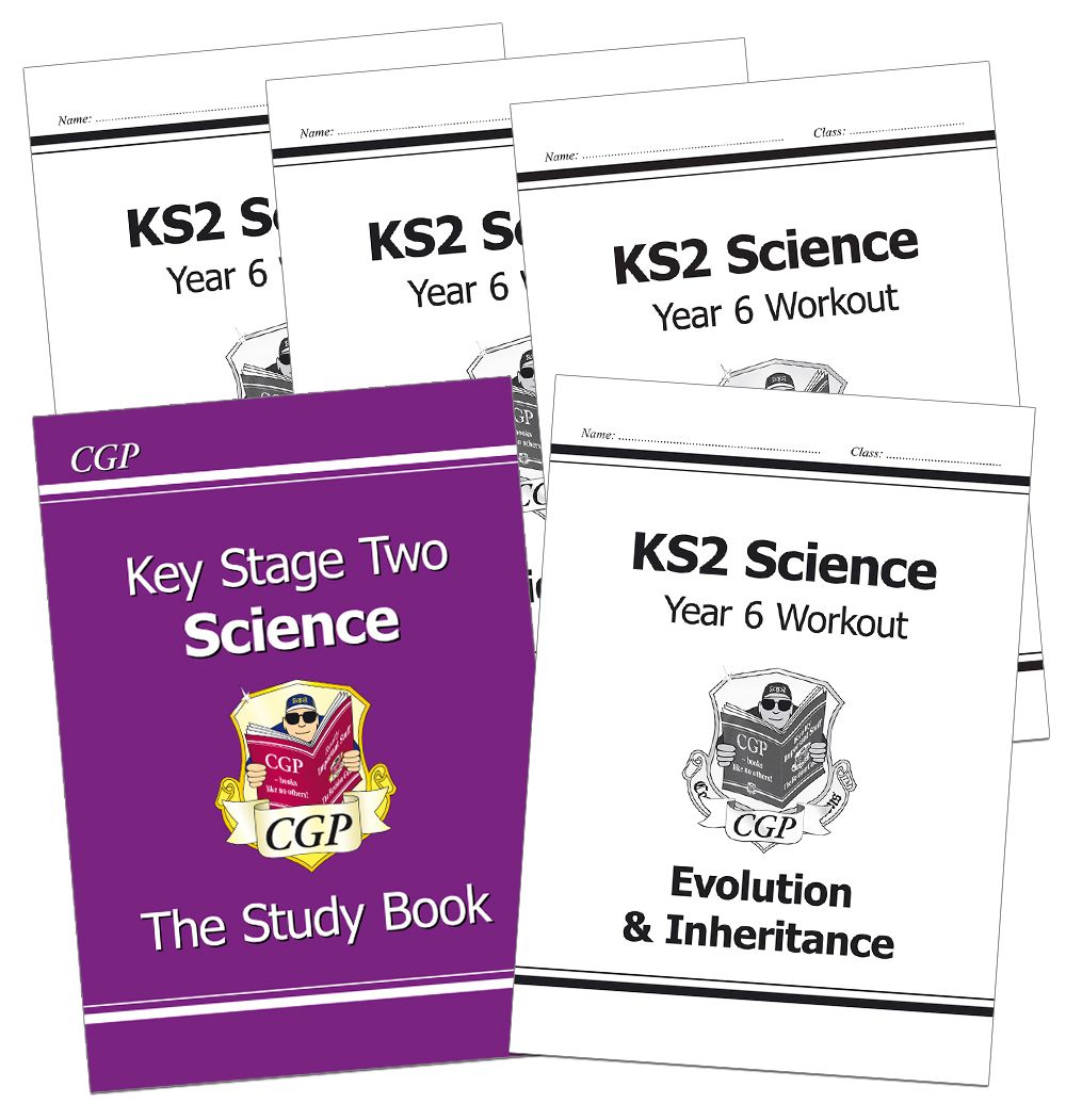 Year 6 Science Study & Workbook Pack (Ages 10-11) Main Image