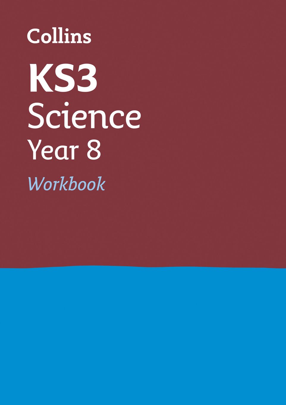 Year 8 Science Workbook (Ages 12-13) Main Image