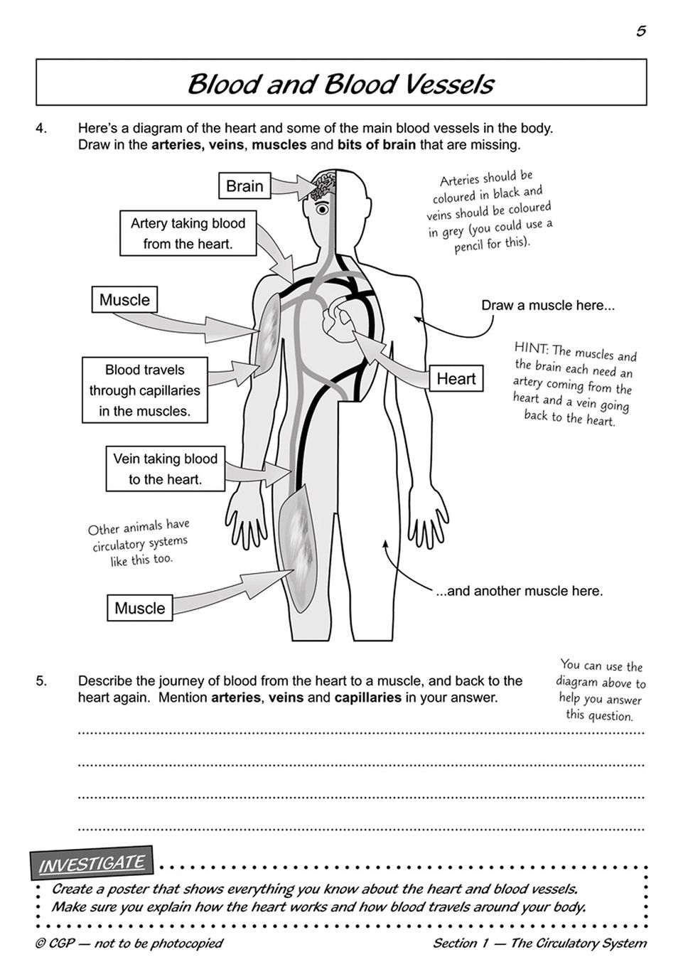 Sample of Year 6 Complete Pack 15 Books Maths English Science Ages 10-11 with Answers NEW ()