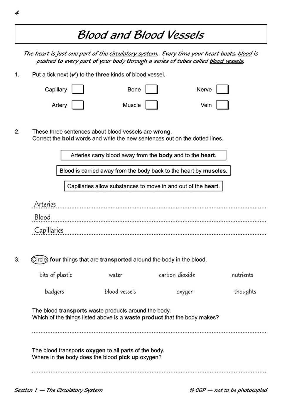 Sample of Year 6 Complete Pack 15 Books Maths English Science Ages 10-11 with Answers NEW ()