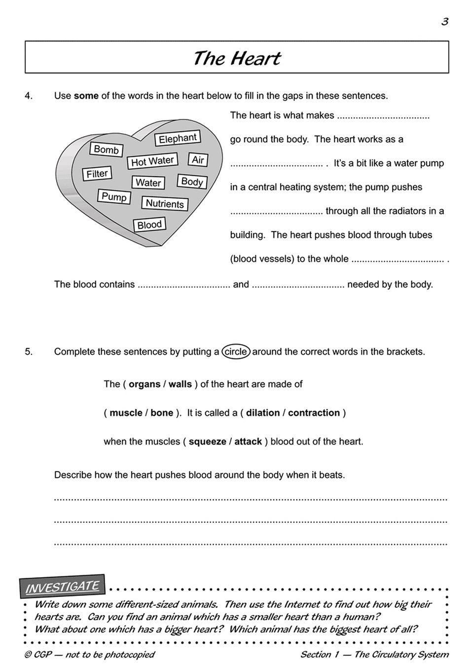 Sample of Year 6 Complete Pack 15 Books Maths English Science Ages 10-11 with Answers NEW ()
