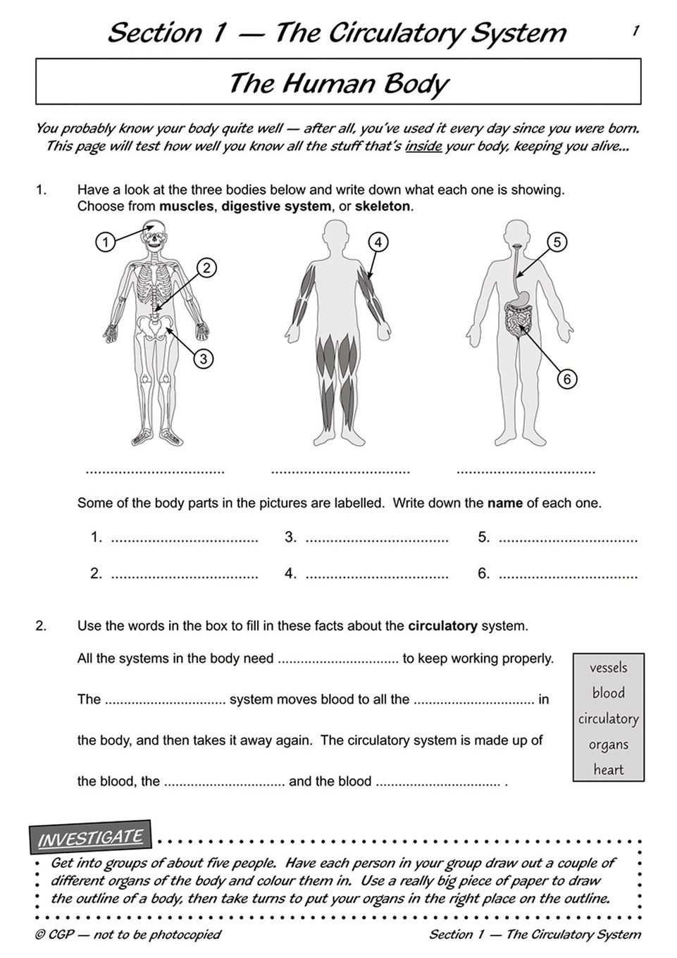 Sample of Year 6 Complete Pack 15 Books Maths English Science Ages 10-11 with Answers NEW ()