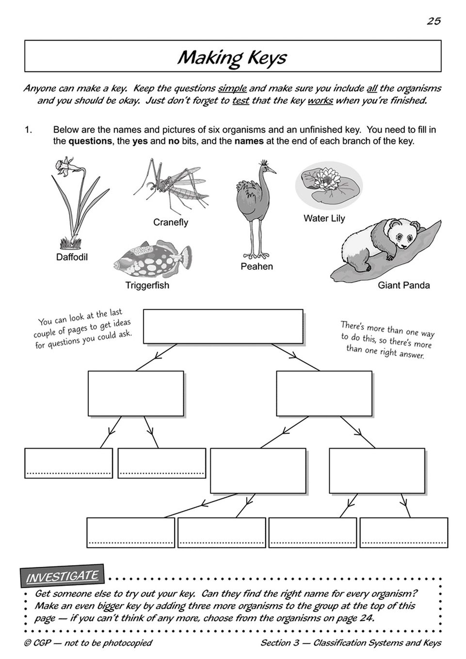Sample of Year 6 Complete Pack 15 Books Maths English Science Ages 10-11 with Answers NEW ()