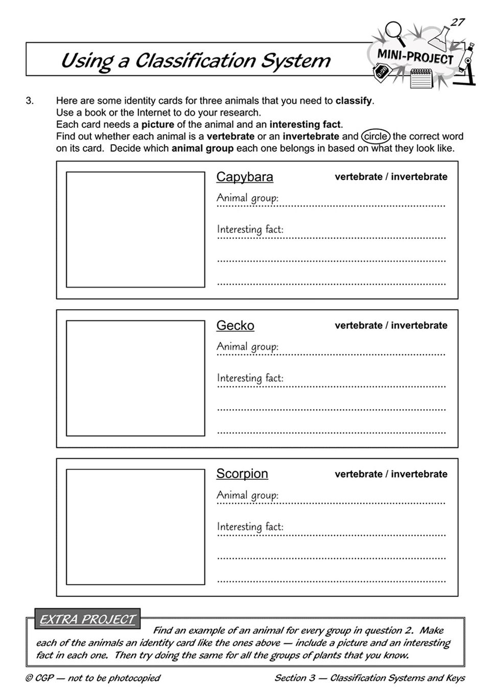 Sample of Year 6 Complete Pack 15 Books Maths English Science Ages 10-11 with Answers NEW ()